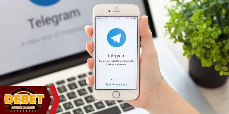 Liên hệ Telegram